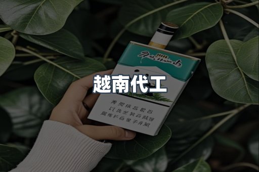越南代工