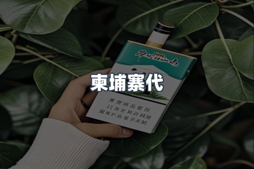 柬埔寨代